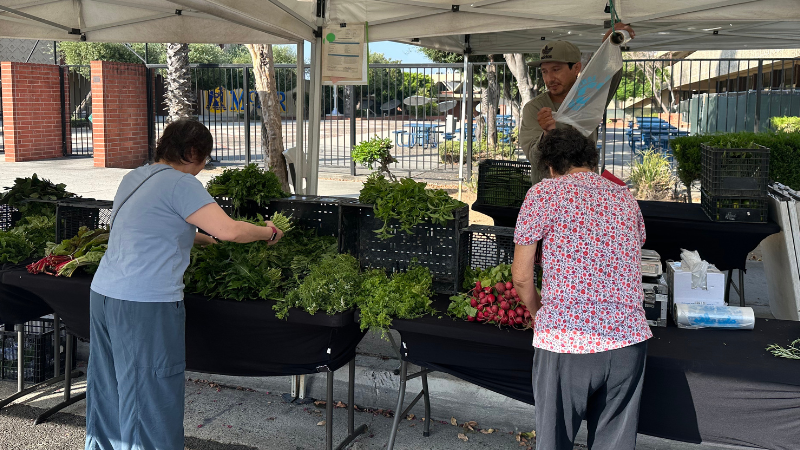 Customers browsing the greens at Ornelas Produce