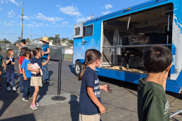 AUSD students had a chance to get up close and personal with the star of the Mobile Dairy Classroom — the cow!